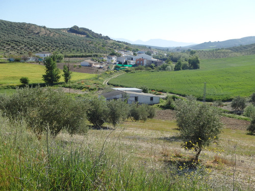 On the road to Montefrío.